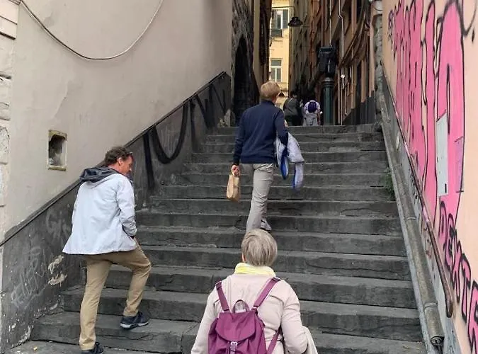 Vacanze Cavalli Janov